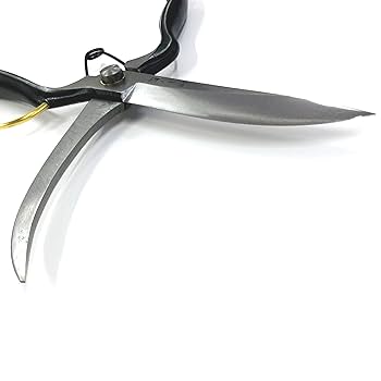 Amazon | 吾妻川 片手刈込鋏 片刃（裏スキ）270mm ガード付